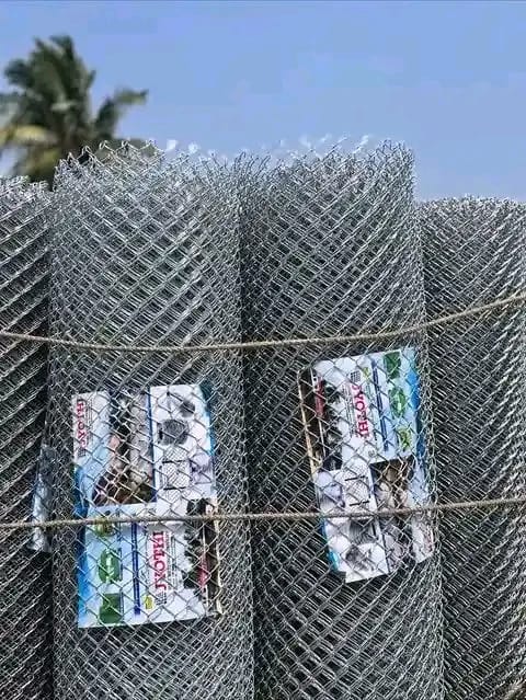 8 feet chain link